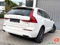 Volvo XC60 D4 Inscription AWD Leder Navi Kamera 1. Hd. Weiß - thumbnail 11