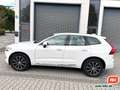 Volvo XC60 D4 Inscription AWD Leder Navi Kamera 1. Hd. Weiß - thumbnail 8