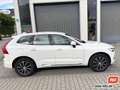 Volvo XC60 D4 Inscription AWD Leder Navi Kamera 1. Hd. Weiß - thumbnail 5