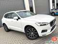Volvo XC60 D4 Inscription AWD Leder Navi Kamera 1. Hd. Weiß - thumbnail 4