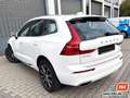 Volvo XC60 D4 Inscription AWD Leder Navi Kamera 1. Hd. Weiß - thumbnail 9