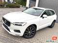 Volvo XC60 D4 Inscription AWD Leder Navi Kamera 1. Hd. Weiß - thumbnail 2