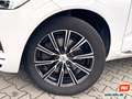 Volvo XC60 D4 Inscription AWD Leder Navi Kamera 1. Hd. Weiß - thumbnail 24