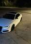 Audi A5 Coupe 3.0 V6 tdi quattro tiptronic - thumbnail 1
