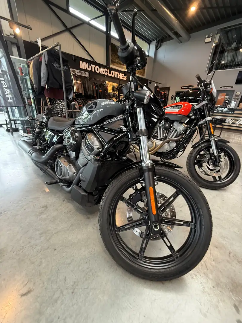 Harley-Davidson NIGHTSTER 975 Grijs - 1