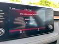 Skoda Fabia Fabia 1.5 TSI Style DSG, LED, AHK, PDC, Temp. Blanc - thumbnail 15