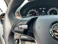 Skoda Fabia Fabia 1.5 TSI Style DSG, LED, AHK, PDC, Temp. Blanc - thumbnail 9
