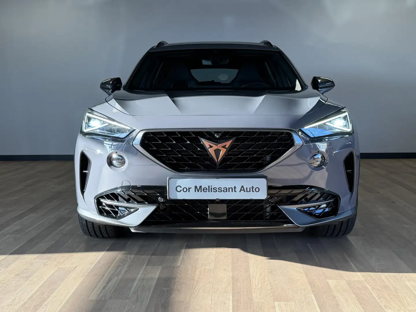 CUPRA Formentor 2.0 TSI 310PK VZ 4Drive DSG PANO | BREMBO | BEATS Gris - 2