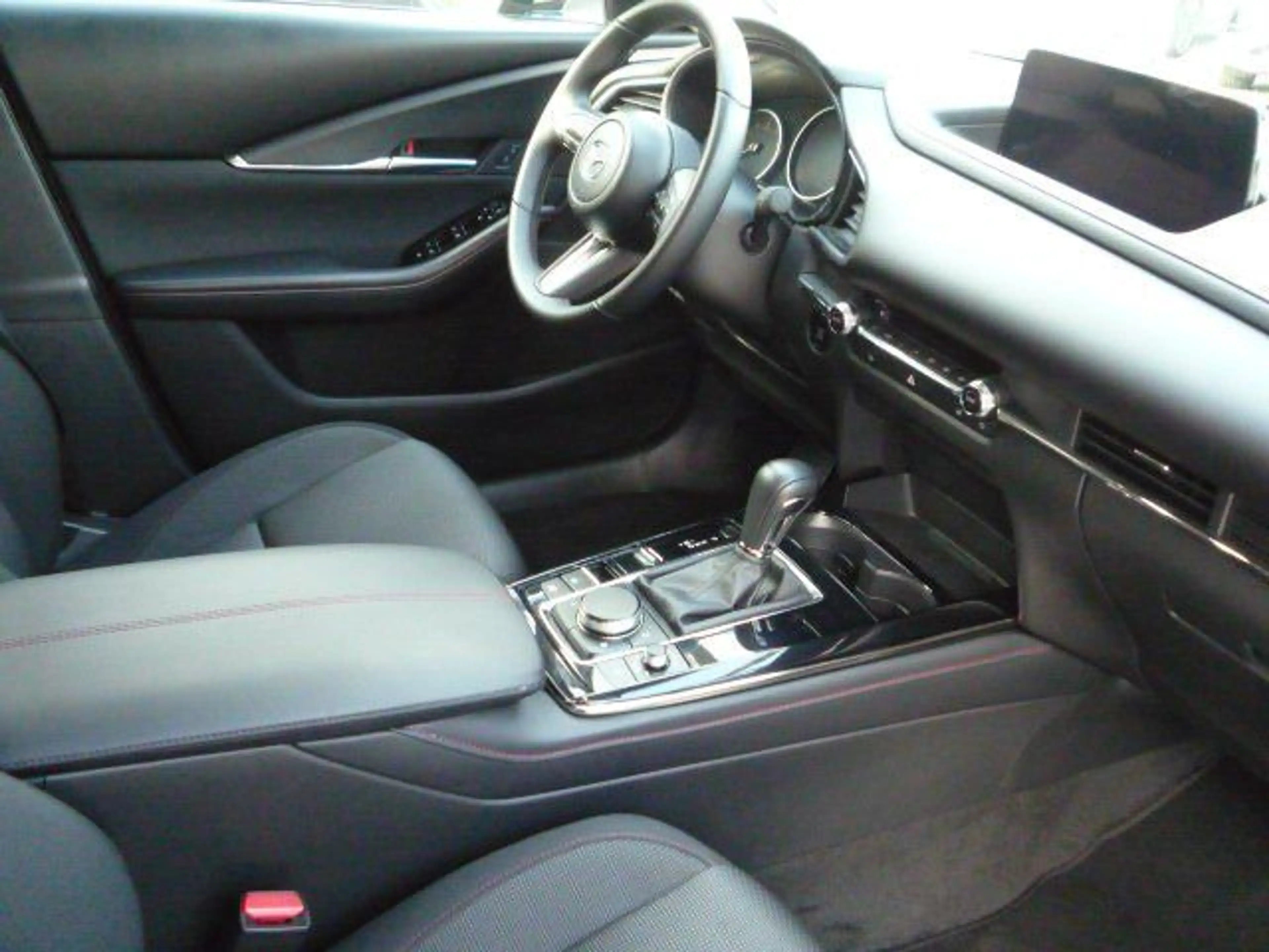 Mazda CX-30 2,5 e-SKYACTIV-G 140 M Hybrid Homura 2WD — photo 13