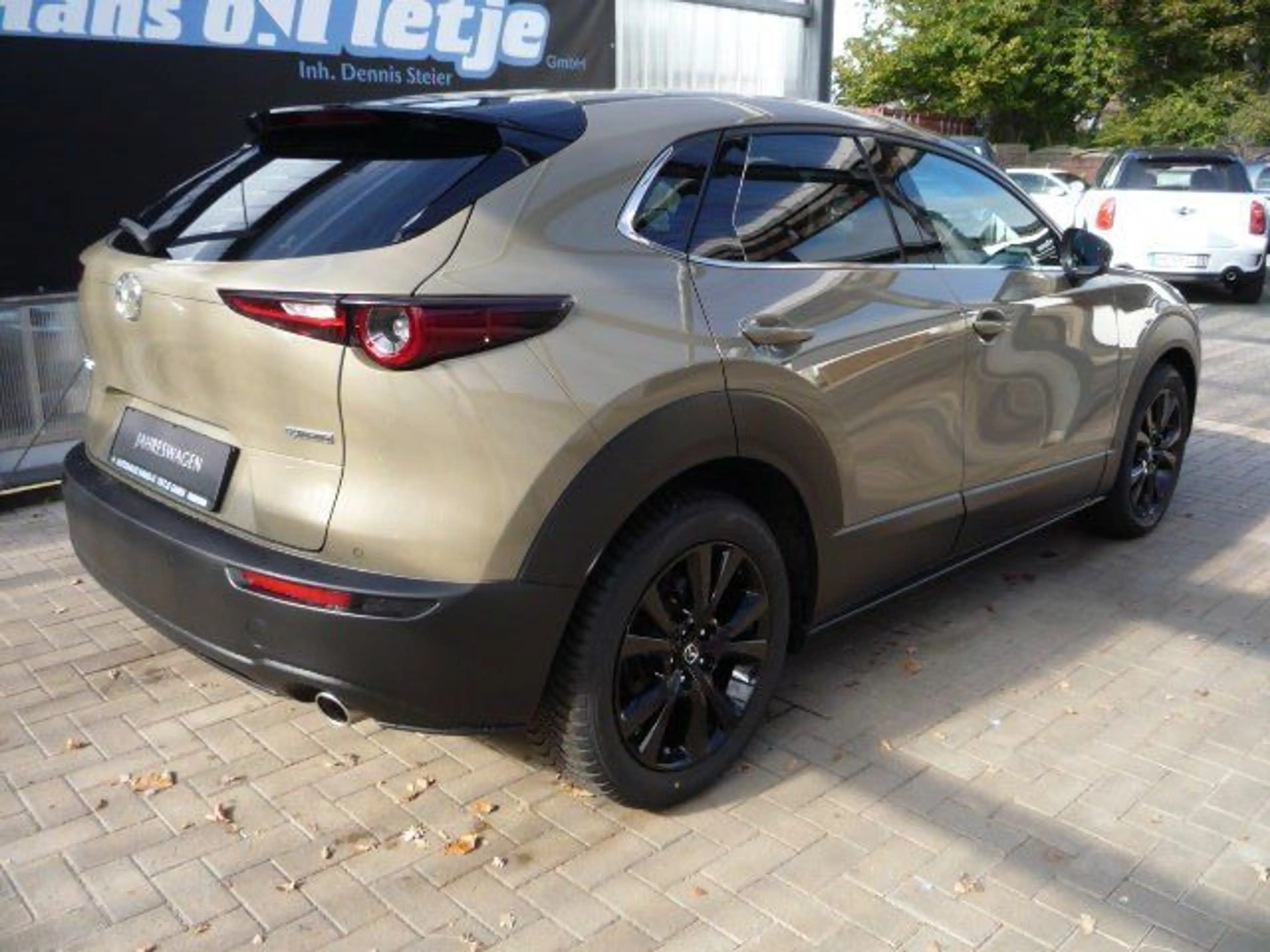 Mazda CX-30 2,5 e-SKYACTIV-G 140 M Hybrid Homura 2WD — photo 4