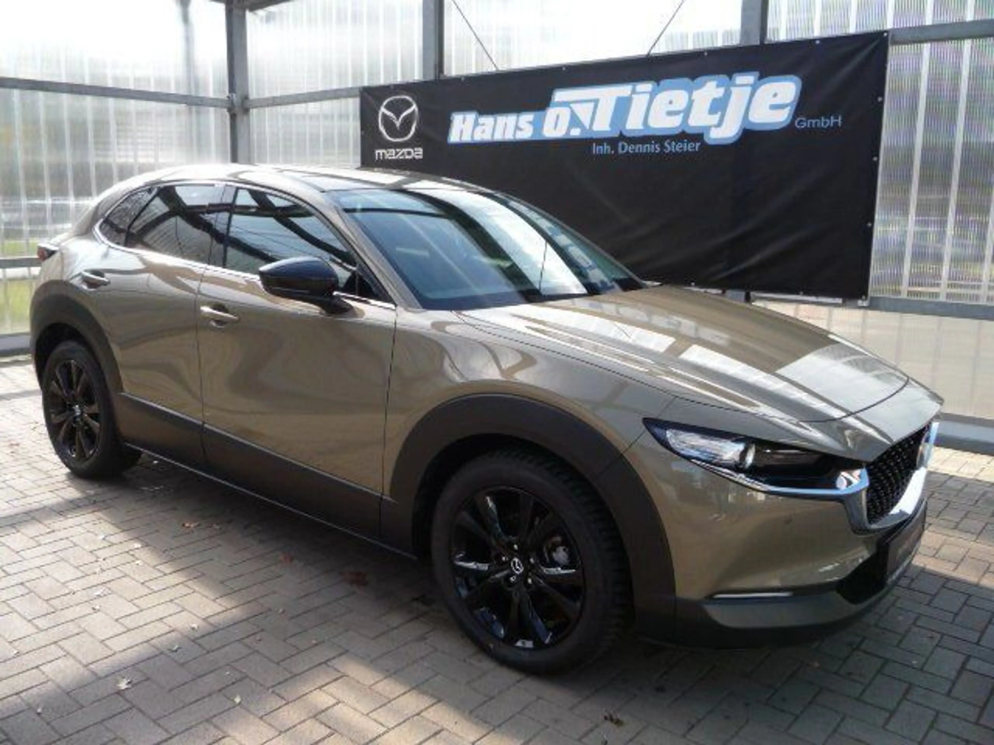 Mazda CX-30 2,5 e-SKYACTIV-G 140 M Hybrid Homura 2WD — photo 2