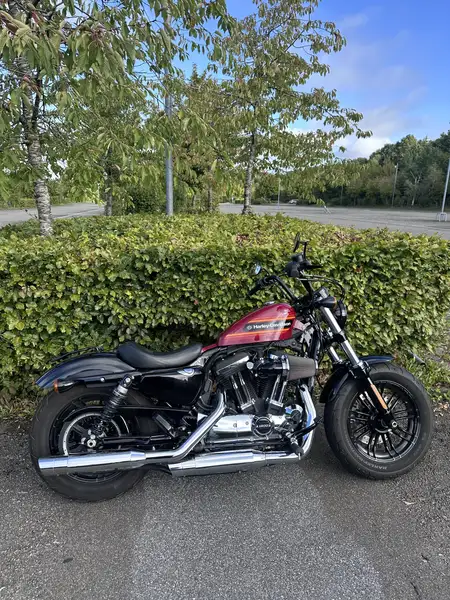 Harley-Davidson Sportster Forty Eight - foto 8