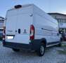 Fiat Ducato maxi 35 LH2 2.3 mjt 130cv E6 Blanco - thumbnail 6