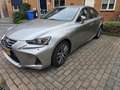 Lexus IS 300 300h Hybrid Business L. Gri - thumbnail 4