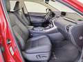 Lexus NX 300 300h Executive Navigation 4WD Czerwony - thumbnail 6