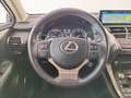 Lexus NX 300 300h Executive Navigation 4WD Red - thumbnail 9
