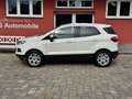 Ford EcoSport Trend*2.Hd*Allwetter*Garantie* Weiß - thumbnail 24