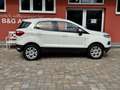 Ford EcoSport Trend*2.Hd*Allwetter*Garantie* Weiß - thumbnail 15