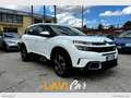 Citroen C5 Aircross BlueHDi 130 S&S EAT8 Shine Bianco - thumbnail 2