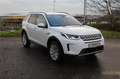 Land Rover Discovery Sport D240 4WD Aut. Anhängekupplung Winterpaket Weiß - thumbnail 7
