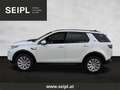 Land Rover Discovery Sport D240 4WD Aut. Anhängekupplung Winterpaket Weiß - thumbnail 4