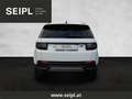 Land Rover Discovery Sport D240 4WD Aut. Anhängekupplung Winterpaket Weiß - thumbnail 6
