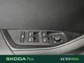 Skoda Karoq 2.0 tdi evo sportline 150cv dsg Blu/Azzurro - thumbnail 12