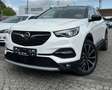 Opel Grandland X GRANDLAND ULTIMATE-SHZ-NAVI-PDC-KAMERA-VOLLLEDER Weiß - thumbnail 3