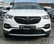 Opel Grandland X GRANDLAND ULTIMATE-SHZ-NAVI-PDC-KAMERA-VOLLLEDER Weiß - thumbnail 2