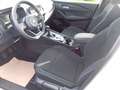 Nissan Qashqai 1.3 DIG-T MHEV 140 PS Visia Blanc - thumbnail 8