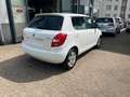 Skoda Fabia 1.2 Climatronic-E Fenster-1.Hand-ABS-ASR Weiß - thumbnail 6