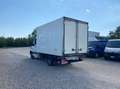 Mercedes-Benz 416 RWD 2.1 cdi F 37 35 SPRINTER 416 2.1 FRIGO FRCX GARANZIA 24mesi +iva Weiß - thumbnail 5
