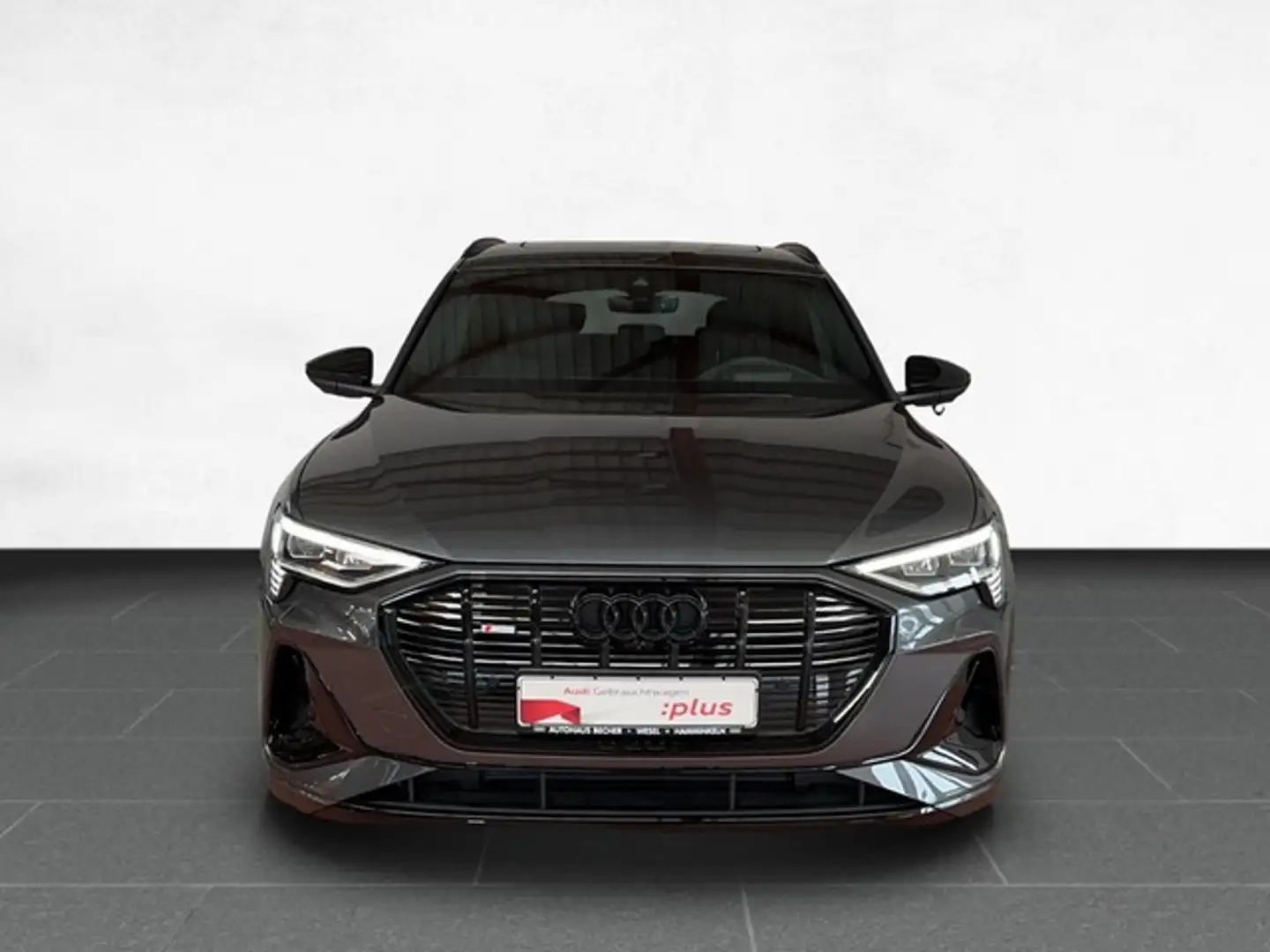 Audi e-tron S line 55 quattro /AHK/Navi/Pano/ Grau - 2