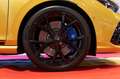 Volkswagen Golf 2.0 TSI R DSG 4x4 LIMITED EDIT.333NR.319.AKRAPOVIC Giallo - thumbnail 8