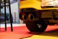 Volkswagen Golf 2.0 TSI R DSG 4x4 LIMITED EDIT.333NR.319.AKRAPOVIC Giallo - thumbnail 6