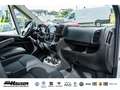 Fiat Ducato Kasten Serie 2 35 L4H2 180 MT TEMPOMAT KAMERA PDC Weiß - thumbnail 13