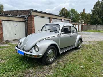 Silver Bug