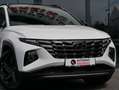 Hyundai TUCSON Blackline Mild-Hybrid 4WD PANORAMA Blanc - thumbnail 7
