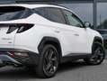 Hyundai TUCSON Blackline Mild-Hybrid 4WD PANORAMA Blanc - thumbnail 20