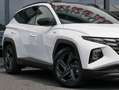 Hyundai TUCSON Blackline Mild-Hybrid 4WD PANORAMA Blanc - thumbnail 6