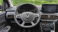 Dacia Sandero II 1.0 EGO-G 100 Stepway Essentiel - GPL Orange - thumbnail 18