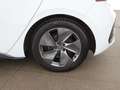 CUPRA Born 58kWh Aut LED RADAR DIGI-TACHO WAERMEPUMPE Weiß - thumbnail 22