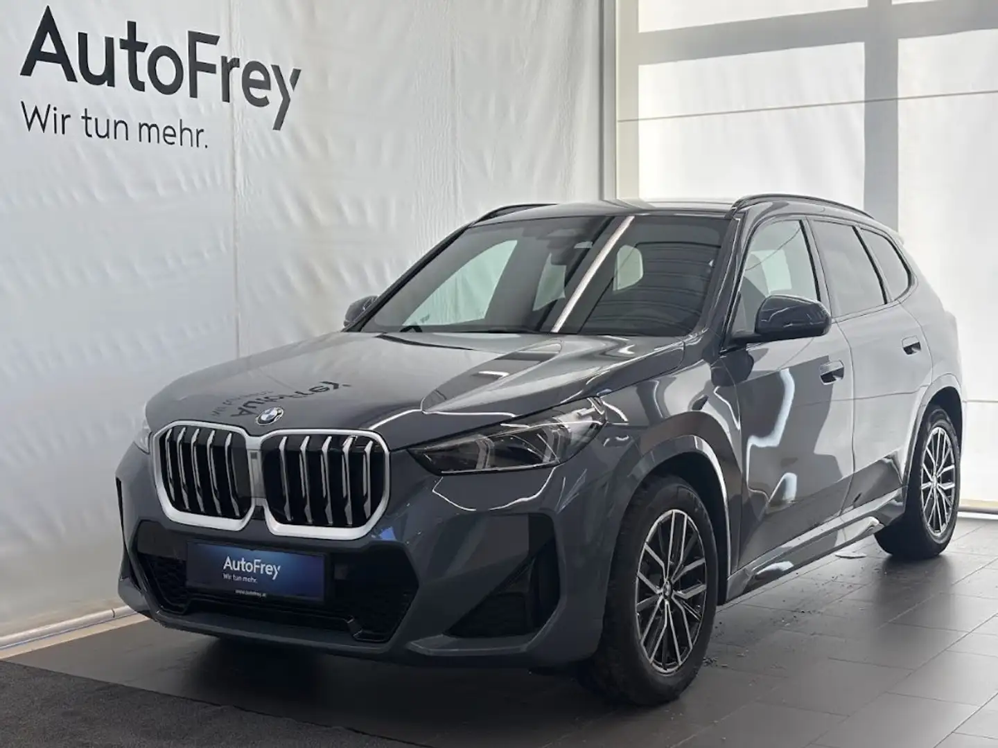 BMW X1 xDrive20d 48V Grau - 1