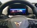 CUPRA Raval ENDURANCE 52/55 155kW/211 PS Blau - thumbnail 10