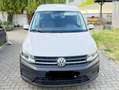 Volkswagen Caddy Caddy 2.0 TDI (5-Si.) DSGMaxi Weiß - thumbnail 1