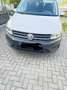 Volkswagen Caddy Caddy 2.0 TDI (5-Si.) DSGMaxi Weiß - thumbnail 10