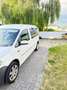 Volkswagen Caddy Caddy 2.0 TDI (5-Si.) DSGMaxi Weiß - thumbnail 2
