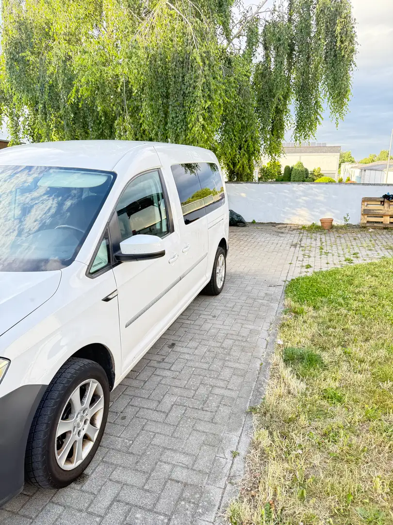 Volkswagen Caddy Caddy 2.0 TDI (5-Si.) DSGMaxi Weiß - 2