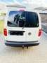 Volkswagen Caddy Caddy 2.0 TDI (5-Si.) DSGMaxi Weiß - thumbnail 9