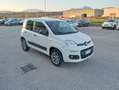 Fiat Panda 1.3 MJT 80CV 4x4 Van 2 posti Bianco - thumbnail 7